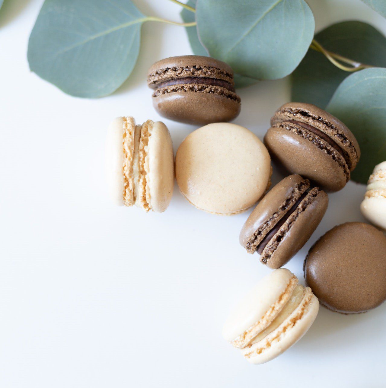 Macaron 2 Macaron 2
